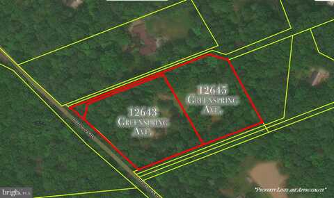 12643 GREENSPRING AVENUE, OWINGS MILLS, MD 21117