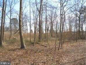 1221 CREEK DRIVE, ANNAPOLIS, MD 21403