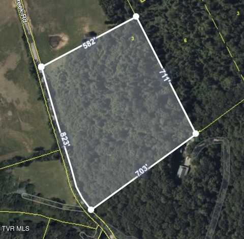 00 Lower Paint Creek Road, Greeneville, TN 37743