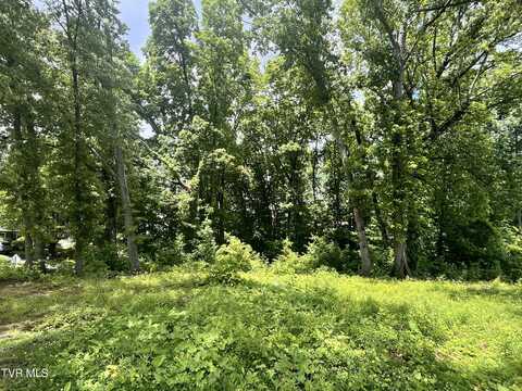 Northwood Ave, Johnson City, TN 37615