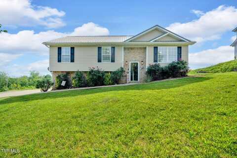 61 East Ridges Drive, Chuckey, TN 37641