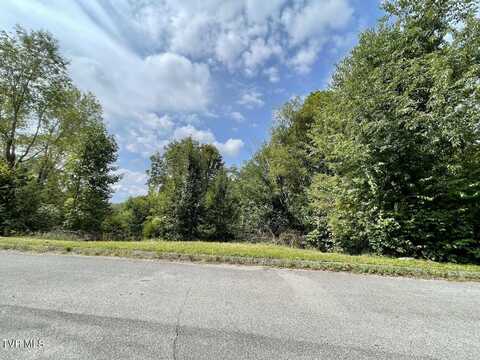 417 Grace Hills Drive, Blountville, TN 37617