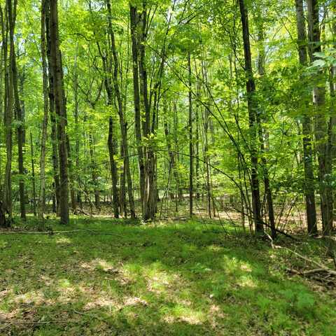Lot 1314 Spruce Hill, Farwell, MI 48622
