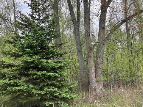 3.96 Acres W Isabella, Midland, MI 48640