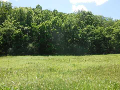 Hopkins Hollow, GAINESBORO, TN 38562