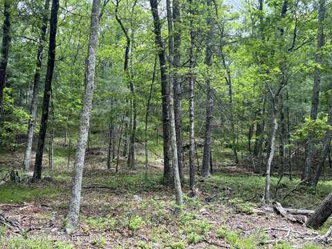 Tbd Ny-28a, West Hurley, NY 12491
