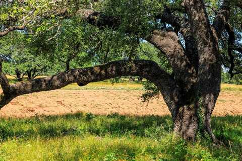 3736-5 County Rd 113, Llano, TX 78643