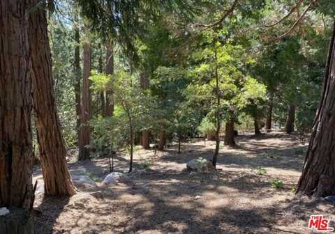 0 Grass Valley, Lake Arrowhead, CA undefined