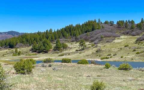 265 Spring Creek Circle, Chromo, CO 81128
