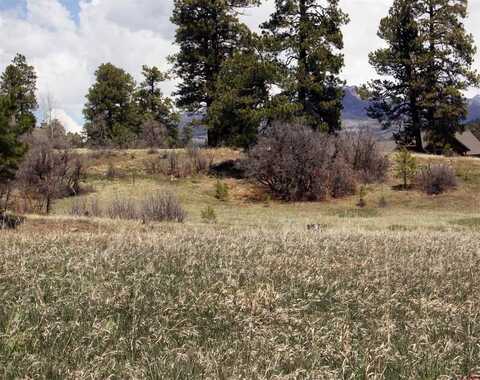 667/697 Clint Circle, Pagosa Springs, CO 81147