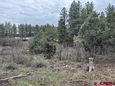 512 & 564 Jack Rabbit Road, Pagosa Springs, CO 81147