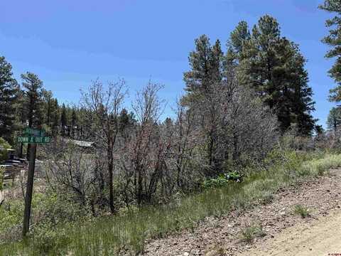 512 & 564 Jack Rabbit Road, Pagosa Springs, CO 81147