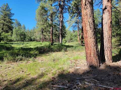 X Catchpole Drive, Pagosa Springs, CO 81147