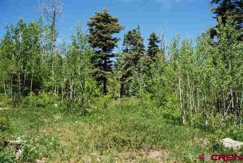 X Cold Springs Ct., Pagosa Springs, CO 81147
