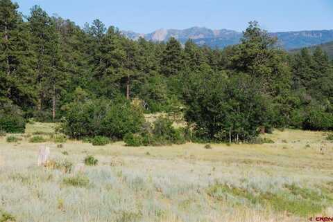 X US Hwy 84 #047, Pagosa Springs, CO 81147