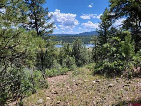 2 Echo Lake Access Easement, Pagosa Springs, CO 81147