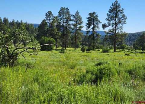 X Catchpole Drive, Pagosa Springs, CO 81147