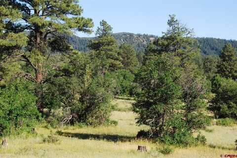 X US Hwy 84 #116, Pagosa Springs, CO 81147