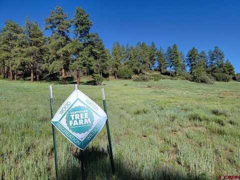 X Catchpole Drive, Pagosa Springs, CO 81147