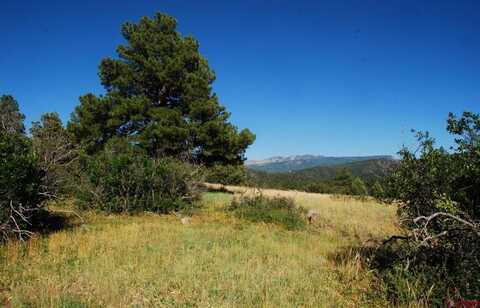 X US Hwy 84 #114, Pagosa Springs, CO 81147