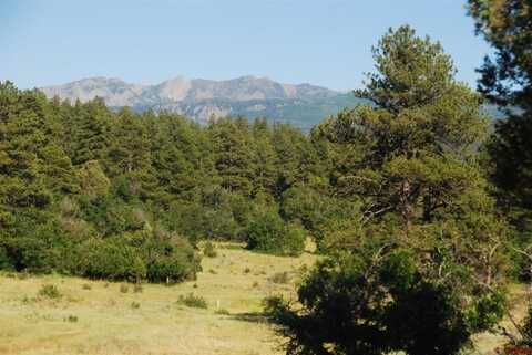 X US Hwy 84 #115, Pagosa Springs, CO 81147