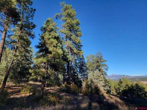 21 Echo Lake Access Easement, Pagosa Springs, CO 81147