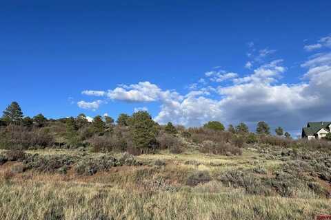 Lot 16 Primrose Lane, Bayfield, CO 81122