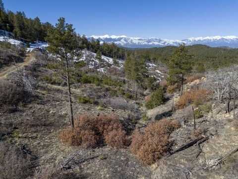 50 Cottonwood Dr, Cotopaxi, CO 81223