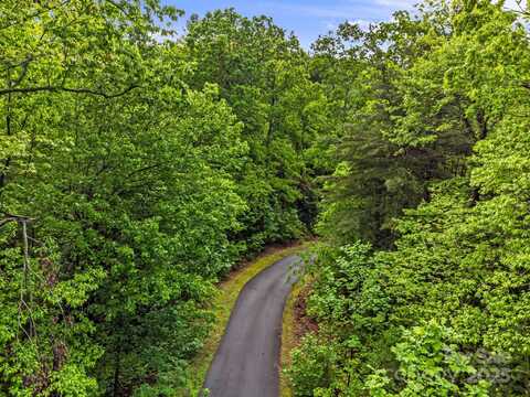 Tbd Old Chestnut Lane, Hendersonville, NC 28739