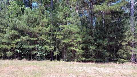 224 Riverwalk Drive, Connelly Springs, NC 28612