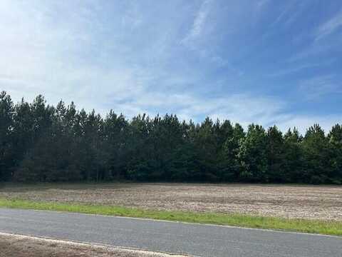 1 Reeves Farm Road, Saint George, SC 29477