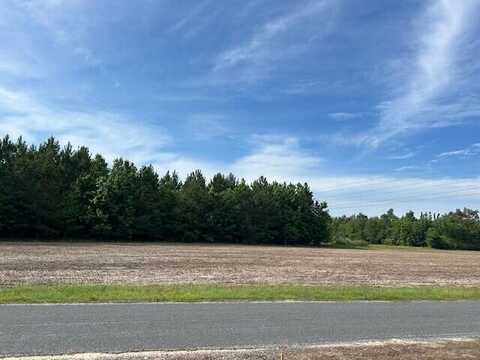 2 Reeves Farm Road, Saint George, SC 29477