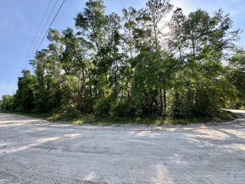 LOT 58 170th St, Old Town, FL 32680
