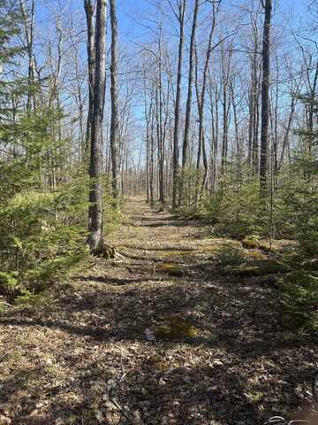 Tbd S Walding RD, Drummond Island, MI 49726