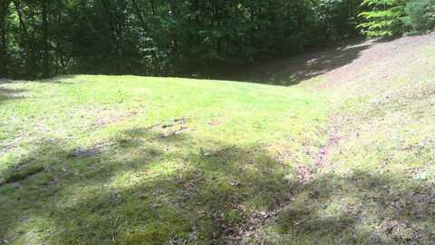 15 Painting Spring Lane, Whittier, NC 28789
