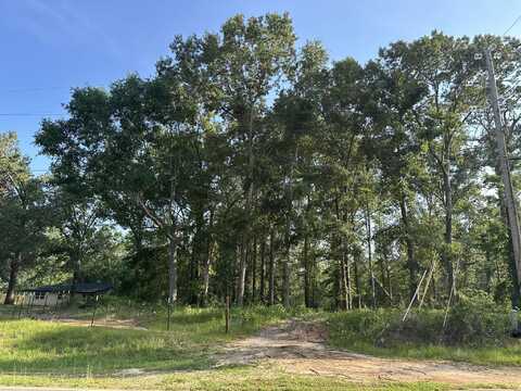 0 W QUAKER Road, Keysville, GA 30816