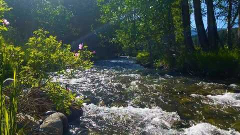 13830 (Lot A) Cottonwood Road, Bozeman, MT 59718