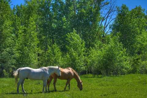 13830 (Tract B) Cottonwood Road, Bozeman, MT 59718