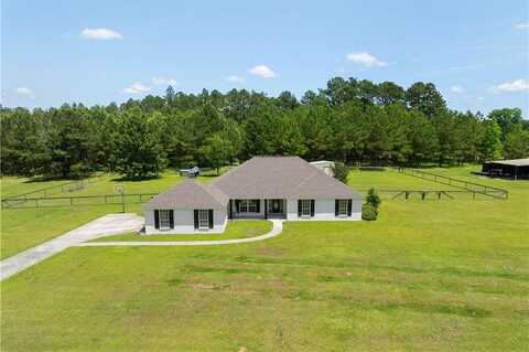 1910 Homestead Lane, Wilmer, AL 36587