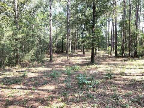 0 Leroy Stevens Road, Mobile, AL 36619