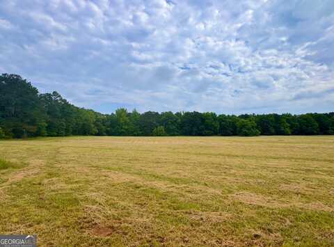 Lot 1 Hwy. 92 South, Fayetteville, GA 30215