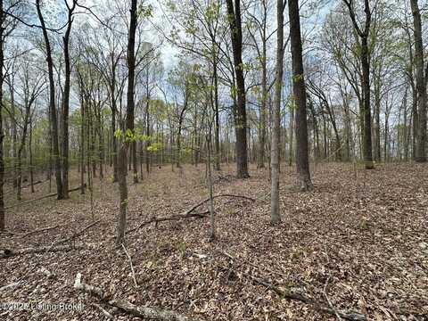 0 Vic Young Rd, Olaton, KY 42361
