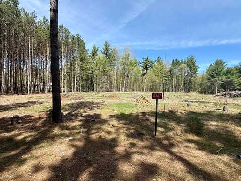 4342 PINE BREEZE WAY, Eagle River, WI 54521