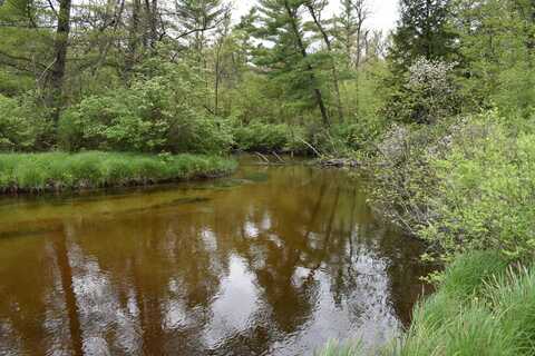 00 S Ever Blooming Drive, Baldwin, MI 49304