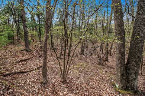 N Silver Ridge Road, Mears, MI 49436
