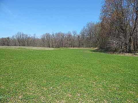 9999 N N Dr S S, Burlington, MI 49029