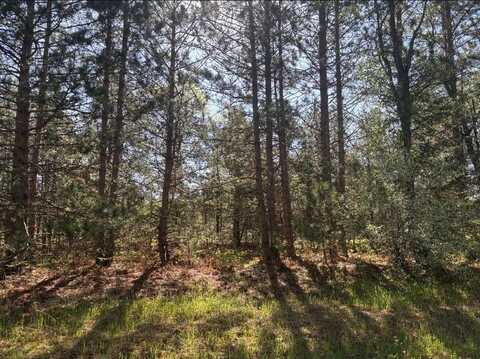 Parcel A Spruce, White Cloud, MI 49349
