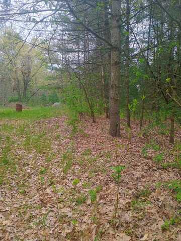 4590 Oak Avenue, Newaygo, MI 49337