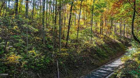 Lot 6 Emerald Springs Loop, Sevierville, TN 37862