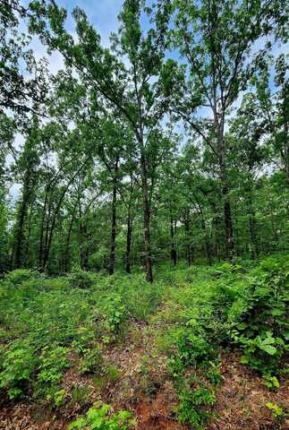 TBD Bobwhite Rd., Gilmer, TX 75645